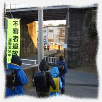 ノボリ旗2